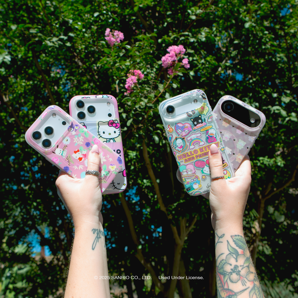 Hello Kitty & Friends Latte Bears | Sonix x Sanrio Hello Kitty & Friends Latte Bears | Sonix x Sanrio