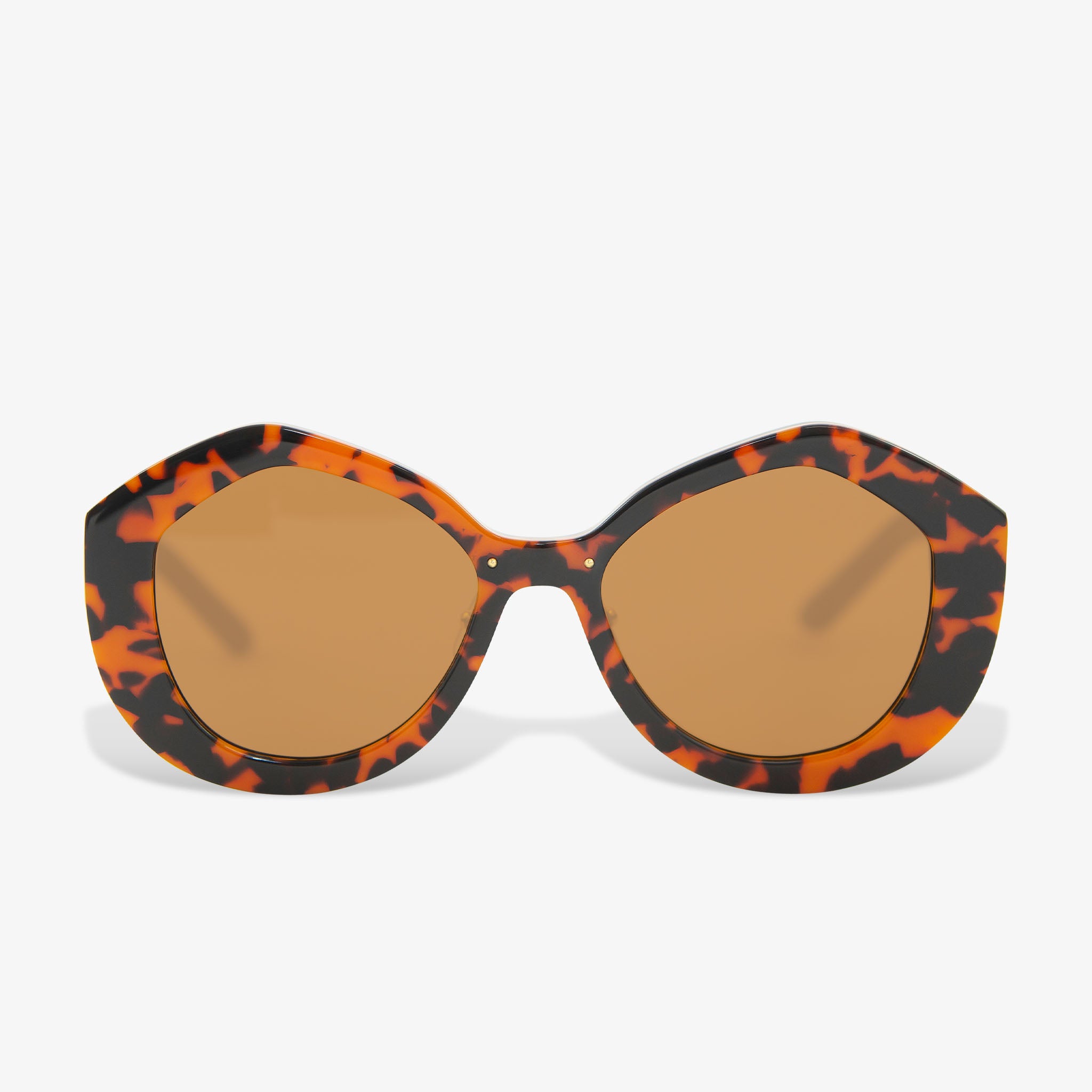 round mod oversized brown tort acetate frame with brown lenses