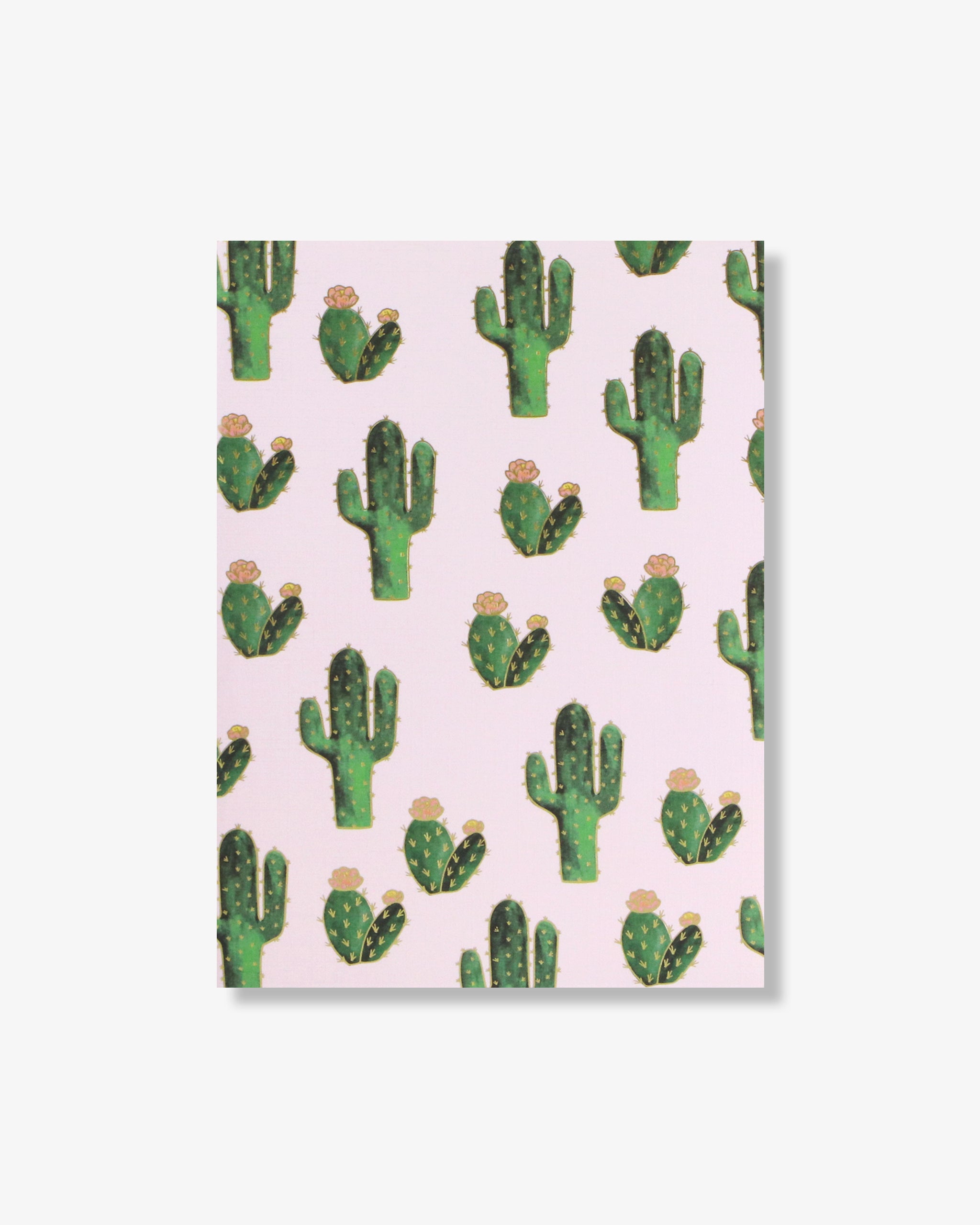 Notebook Bundle - Desert Love